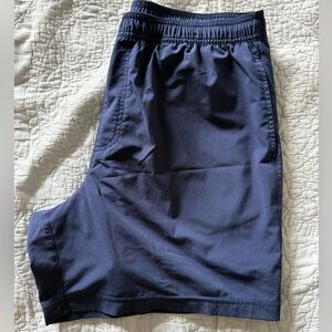Chubbies Training Shorts
